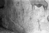 roth_brandberg_img_035415_thumb.gif