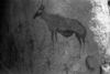 roth_brandberg_img_035416_thumb.gif