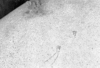 roth_brandberg_img_035417_thumb.gif