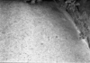 roth_brandberg_img_035418_thumb.gif