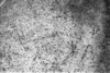 roth_brandberg_img_035419_thumb.gif