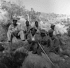 roth_brandberg_img_035510_thumb.gif