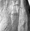 roth_brandberg_img_035511_thumb.gif