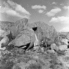 roth_brandberg_img_035512_thumb.gif