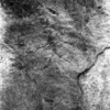 roth_brandberg_img_035513_thumb.gif