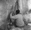 roth_brandberg_img_035514_thumb.gif