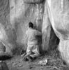 roth_brandberg_img_035516_thumb.gif