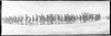 CHN_PAN_31732_img_001732_thumb.gif
