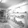 ONR_NEG_ROCKSGEM_img_036859_thumb.gif
