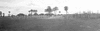 CHN_PAN_31753_img_001753_thumb.gif
