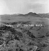 roth_namib_img_035228_thumb.gif