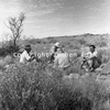 roth_namib_img_035238_thumb.gif