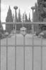 NAN_NEG_SCHOEDDER_img_040772_thumb.gif