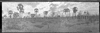 CHN_PAN_31737_img_001737_thumb.gif