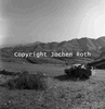roth_gamsberg_img_035256_thumb.gif