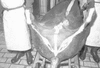 ONR_NEG_FCU_img_032519_thumb.gif
