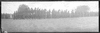 CHN_PAN_31739_img_001739_thumb.gif