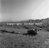 roth_gamsberg_img_035257_thumb.gif
