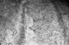 roth_brandberg_img_035420_thumb.gif