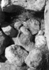 roth_brandberg_img_035421_thumb.gif