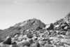 roth_brandberg_img_035422_thumb.gif