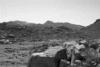 roth_brandberg_img_035423_thumb.gif
