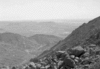 roth_brandberg_img_035424_thumb.gif