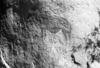 roth_brandberg_img_035427_thumb.gif