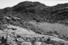 roth_brandberg_img_035429_thumb.gif