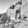 roth_brandberg_img_035524_thumb.gif