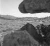 roth_brandberg_img_035526_thumb.gif