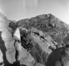 roth_brandberg_img_035528_thumb.gif