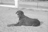 ONR_L-1167-49_30881_img_000881_thumb.gif