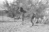ONR_L-1167-49_30882_img_000882_thumb.gif