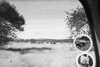 roth_kaoko_img_035342_thumb.gif
