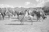 ONR_L-1280-51_31061_img_001061_thumb.gif
