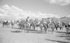 ONR_L-1280-51_31062_img_001062_thumb.gif