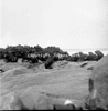 roth_gen_cape_31288_img_001288_thumb.gif