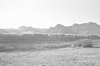 ONR_L-1166-49_30330_img_000330_thumb.gif