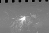 ONR_L-1226-50_30534_img_000534_thumb.gif