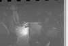 ONR_L-1226-50_30535_img_000535_thumb.gif