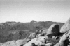 roth_brandberg_img_035430_thumb.gif