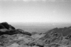 roth_brandberg_img_035432_thumb.gif