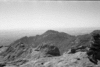 roth_brandberg_img_035433_thumb.gif