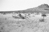 ONR_L-1166-49_30239_img_000239_thumb.gif