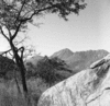 roth_brandberg_img_035535_thumb.gif