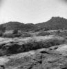 roth_brandberg_img_035536_thumb.gif