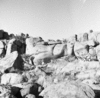 roth_brandberg_img_035538_thumb.gif