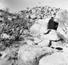 roth_brandberg_img_035539_thumb.gif