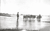 NAN_NEG_VARIOUS_img_043052_thumb.gif